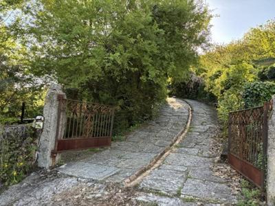 Casa Rural El Rondillo Navaconcejo Kültér fotó